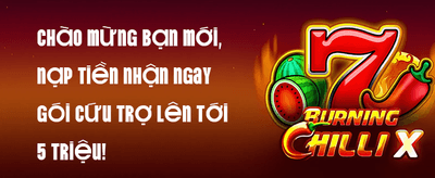 Hoàn Trả Vô Tận promotion